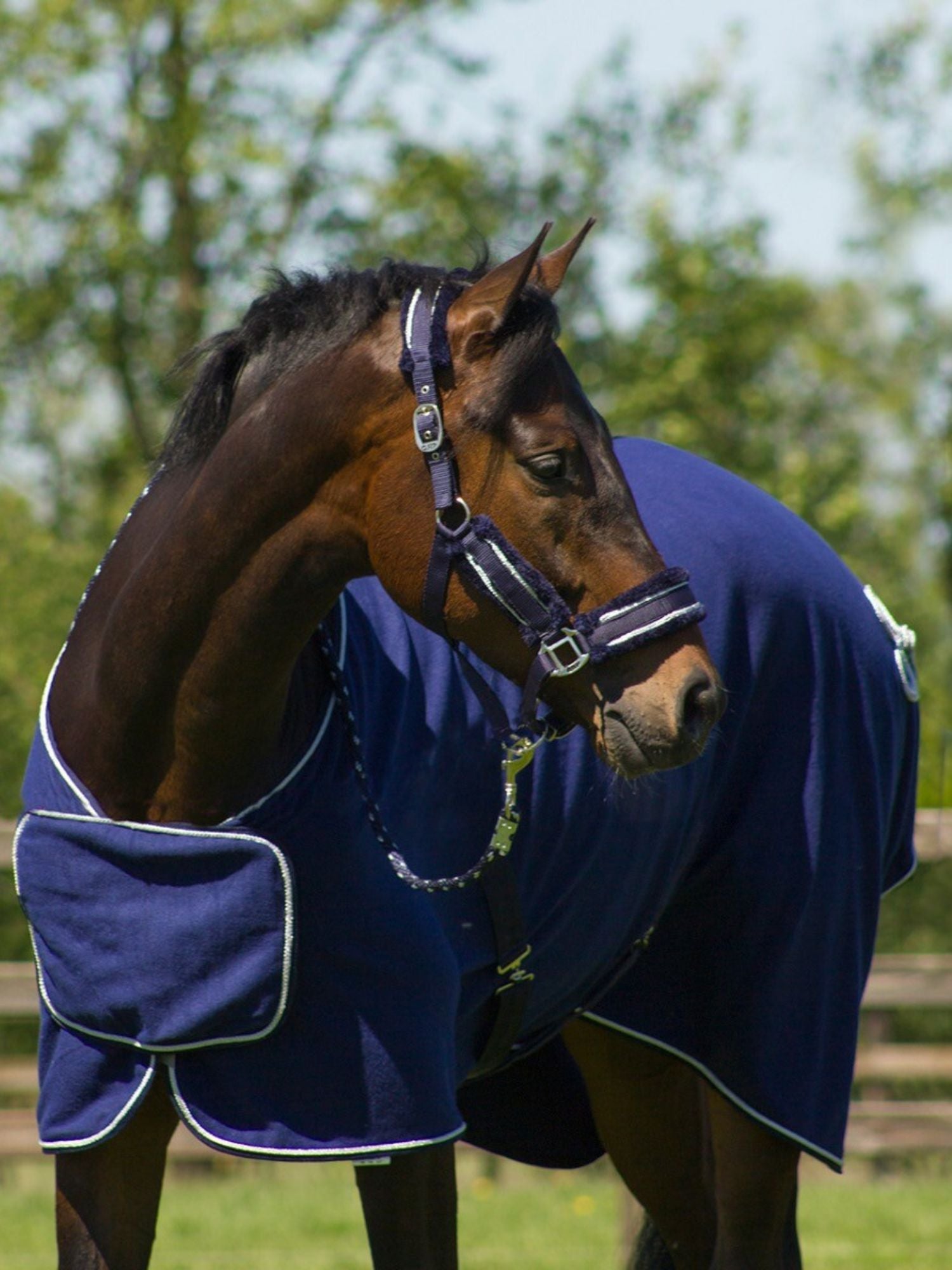 Grimma & Grimskaft Dolci Navy/Silver