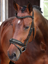 Dressyrträns Elite Lusso Svart