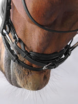 Dressyrträns Elite Lusso Svart