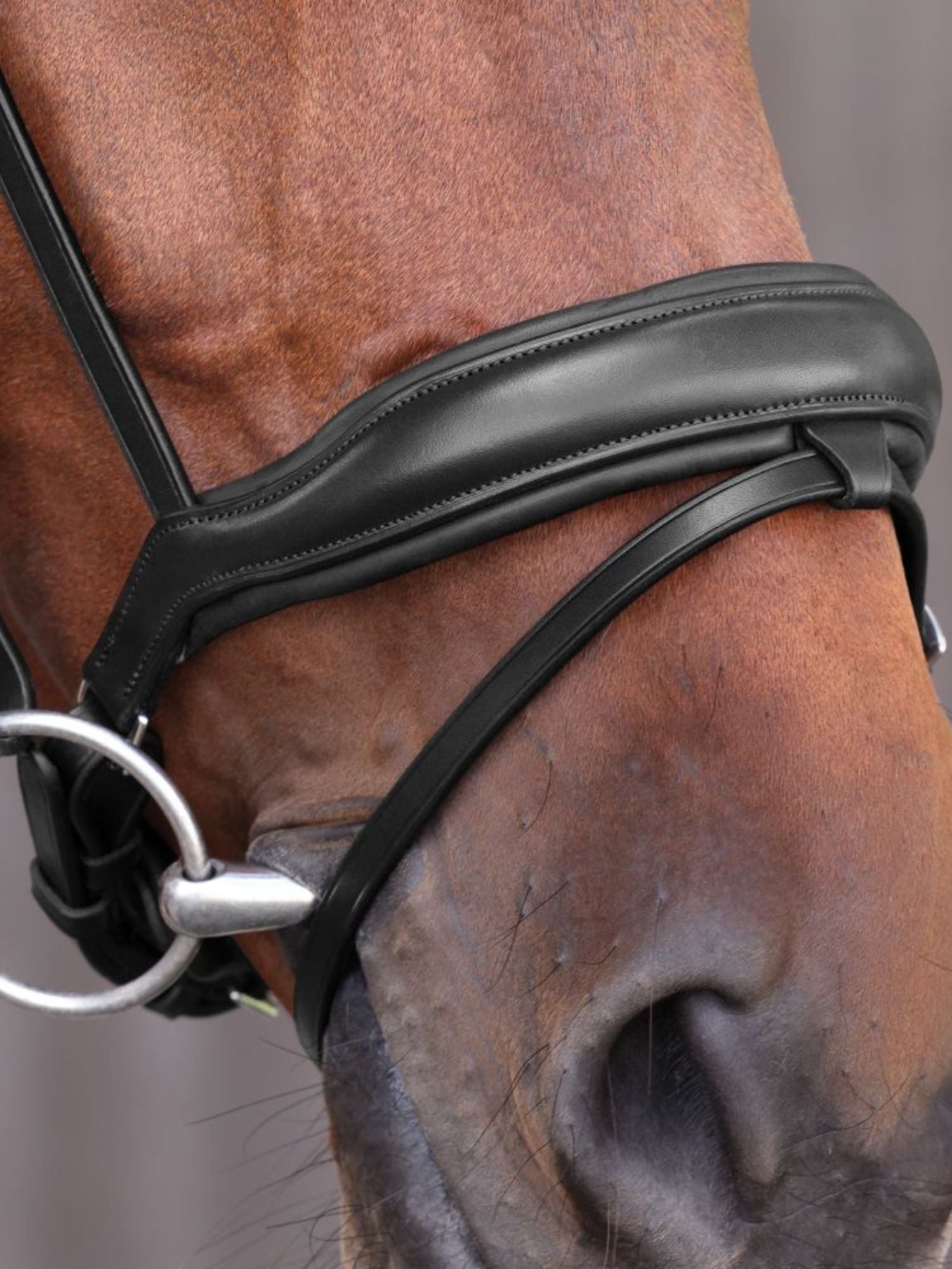 Dressyrträns Elite Lusso Svart