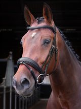 Dressyrträns Elite Lusso Svart