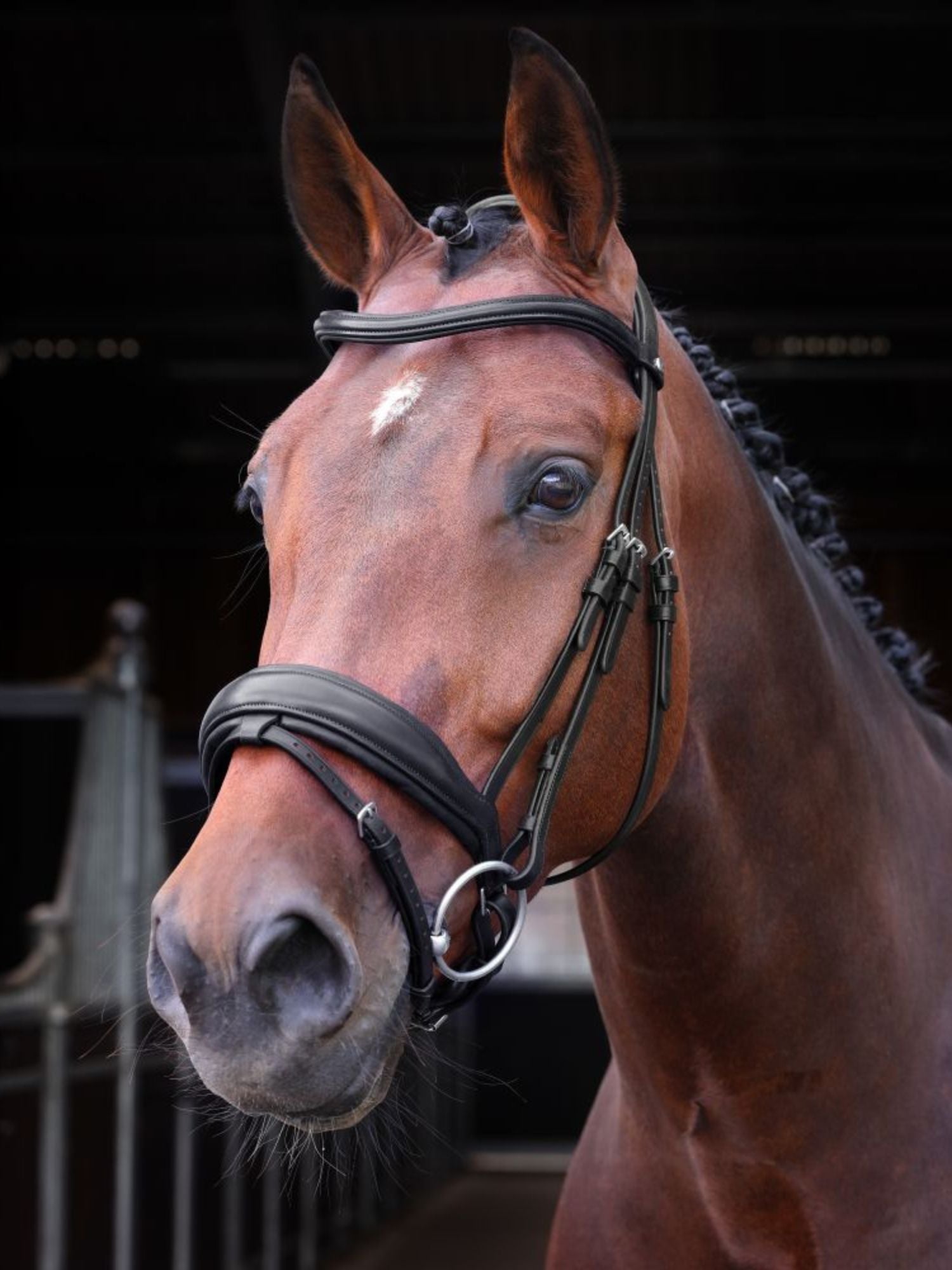 Dressyrträns Elite Lusso Svart