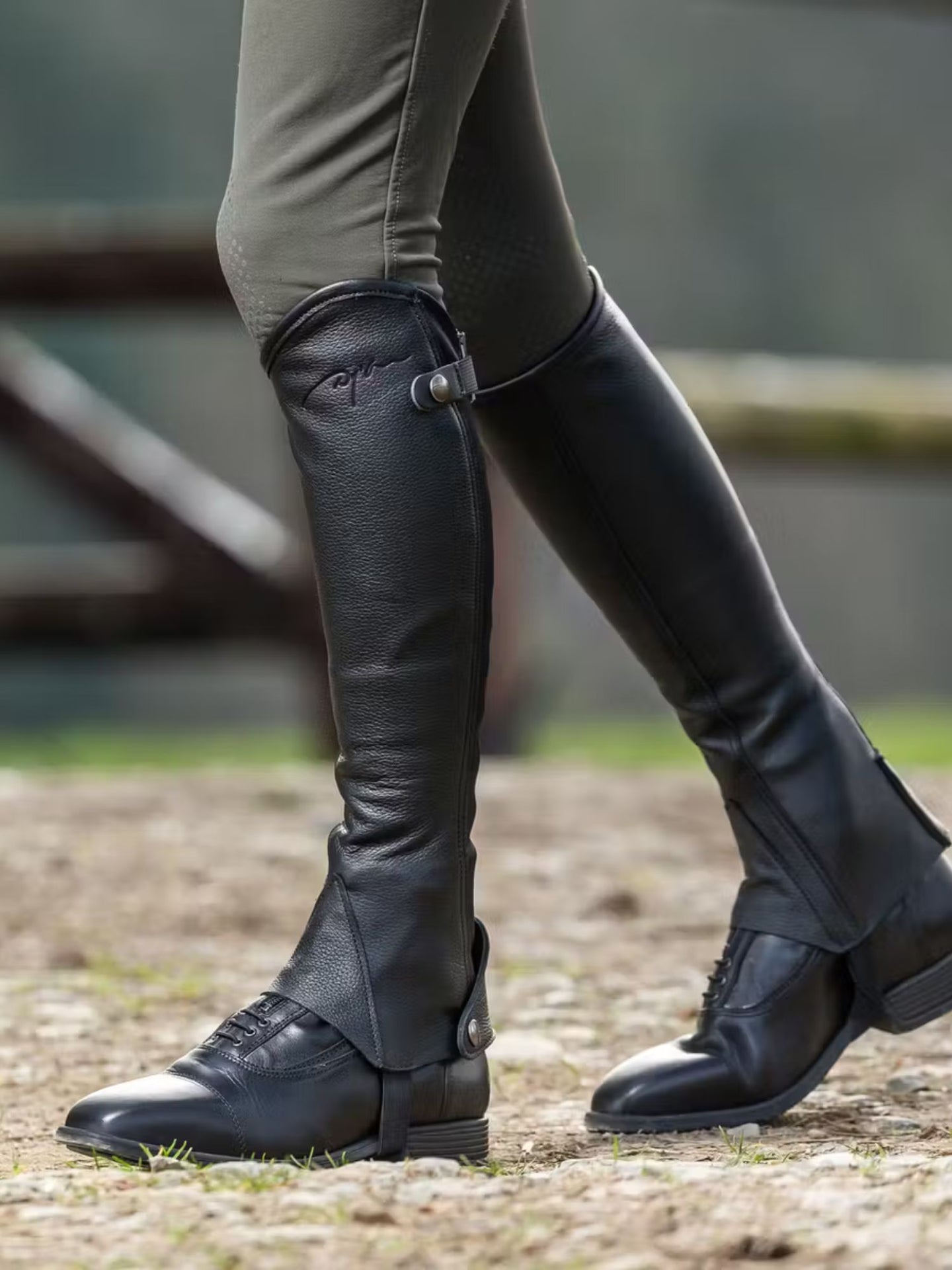 Shortchaps Classic Svart