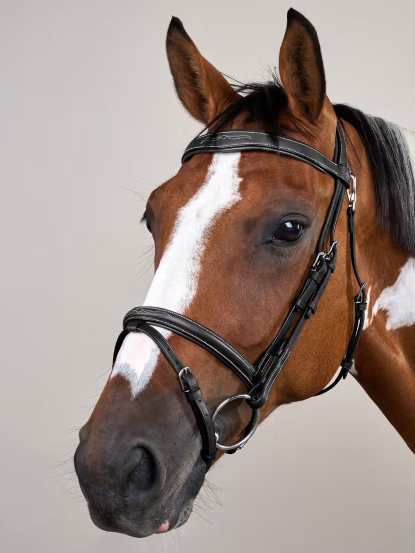 Träns Flash Söm Working Collection Svart