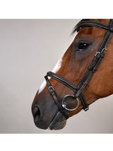 Träns Flash Söm Working Collection Svart