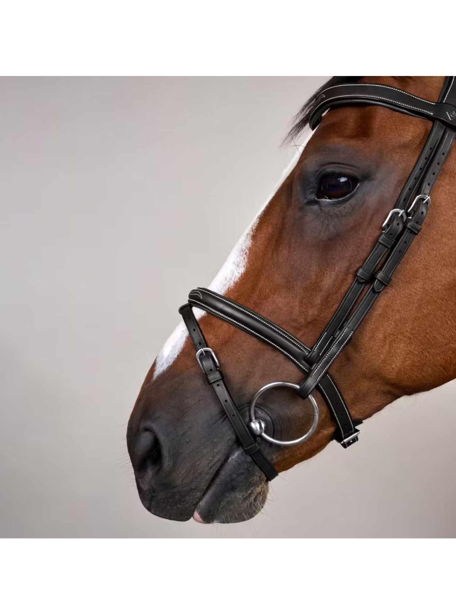 Träns Flash Söm Working Collection Svart