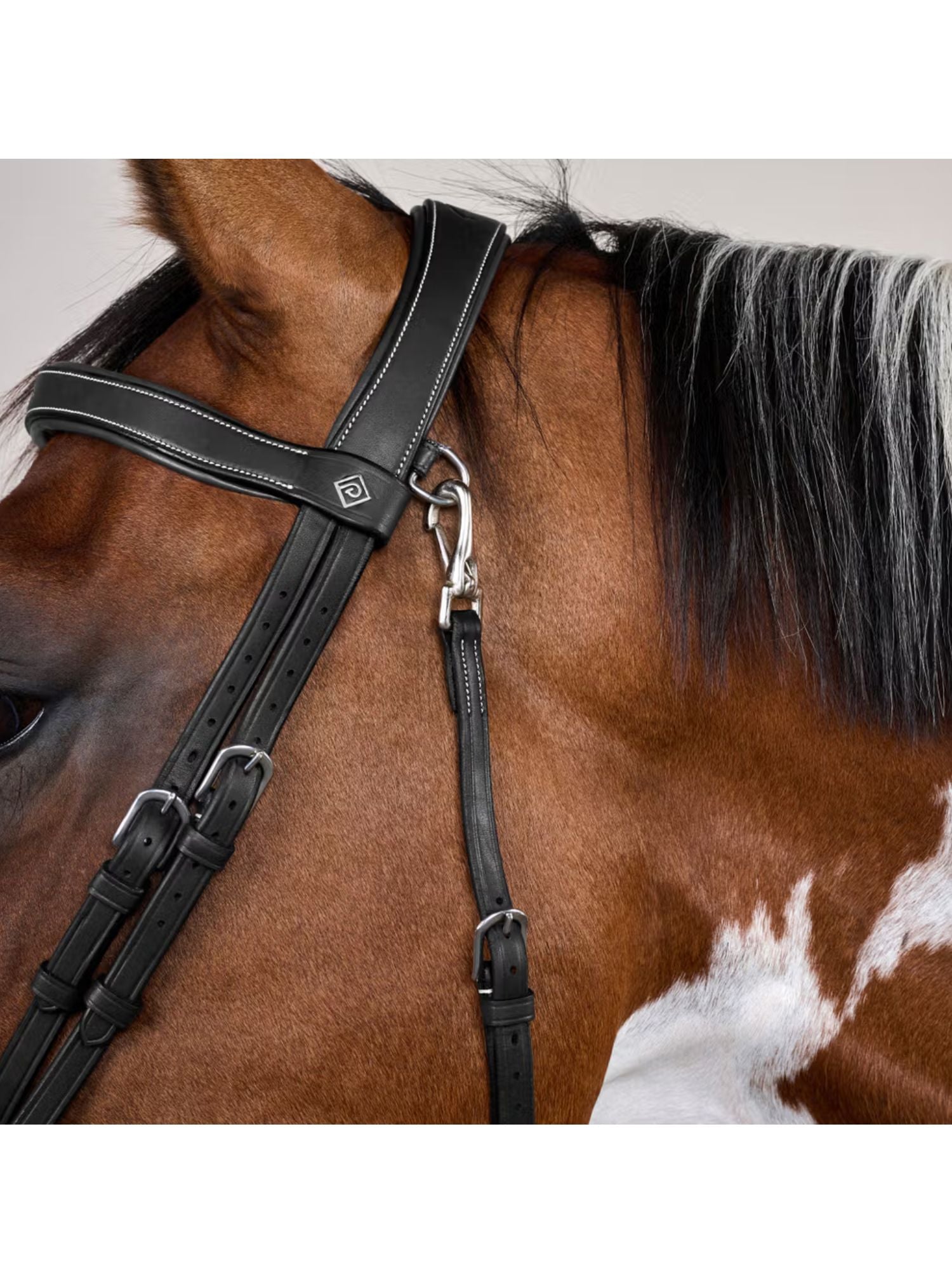 Träns Flash Söm Working Collection Svart