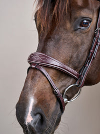 Träns Anatomisk Nosgrimma US Brun