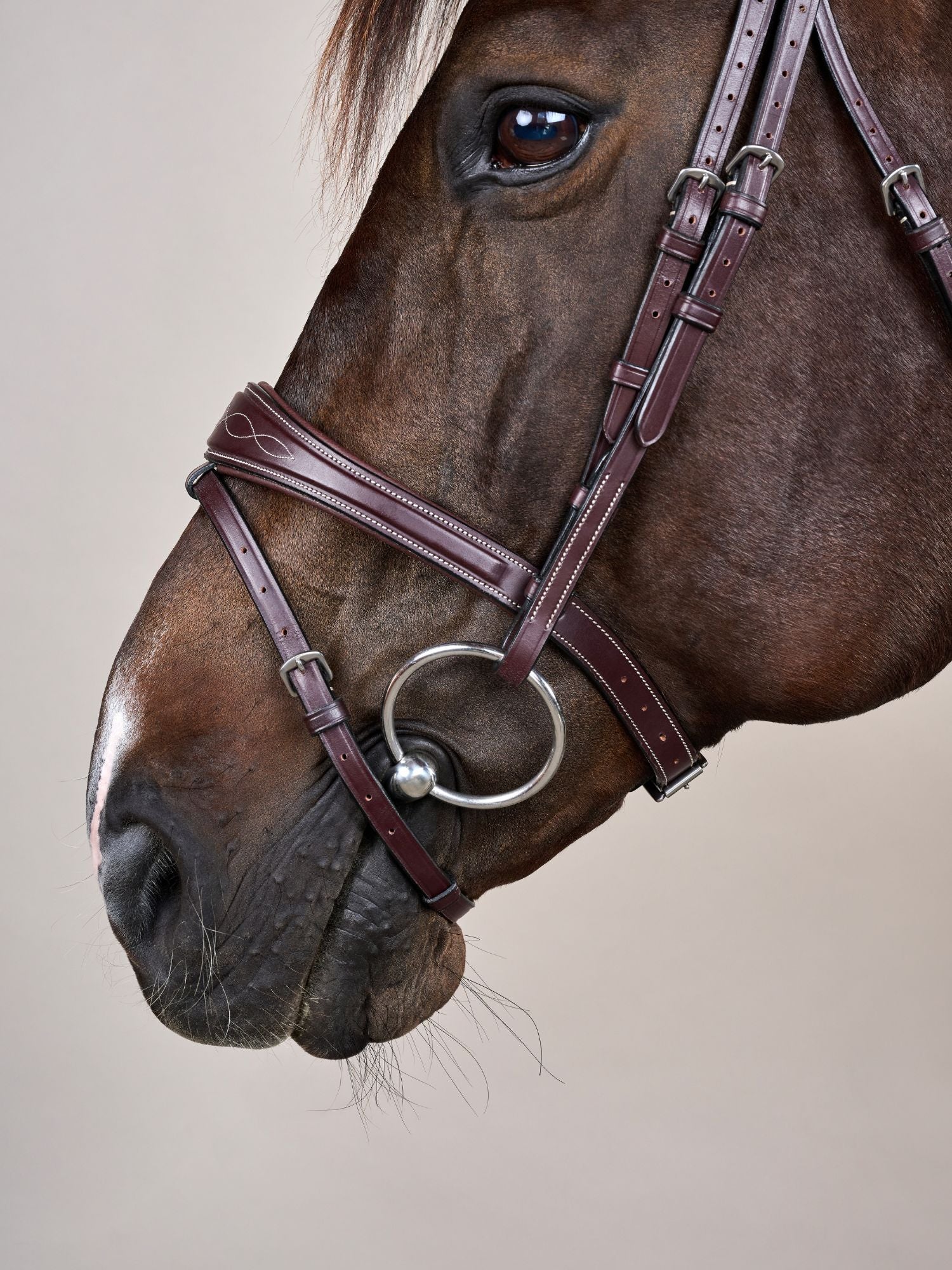 Träns Anatomisk Nosgrimma US Brun