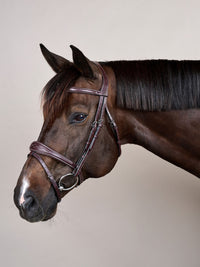 Träns Anatomisk Nosgrimma US Brun