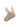 Ear Bonnet Island Fossil