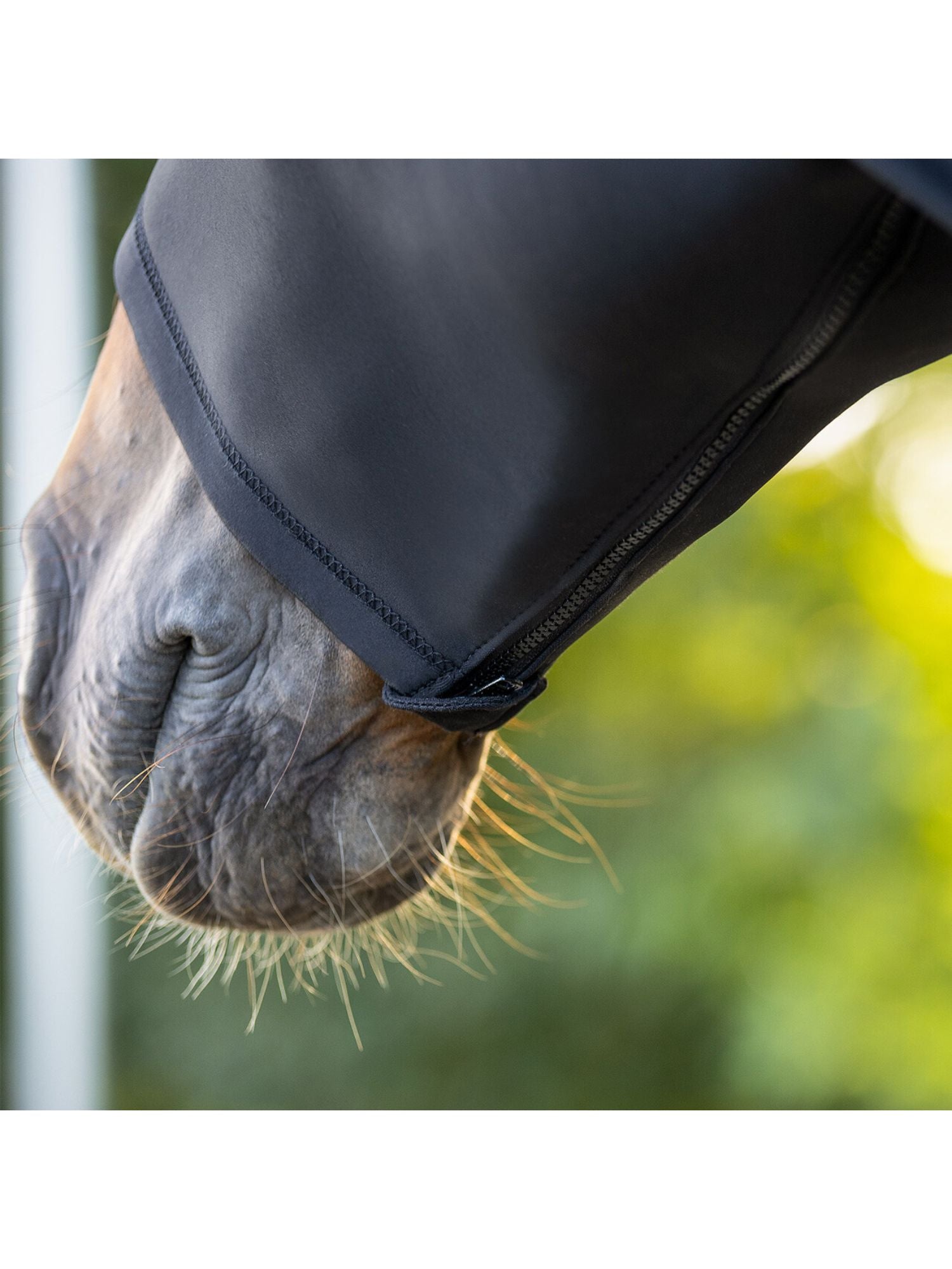 Elastic Neckprotector With Zipper Svart