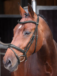 Träns Lusso Elite Svart