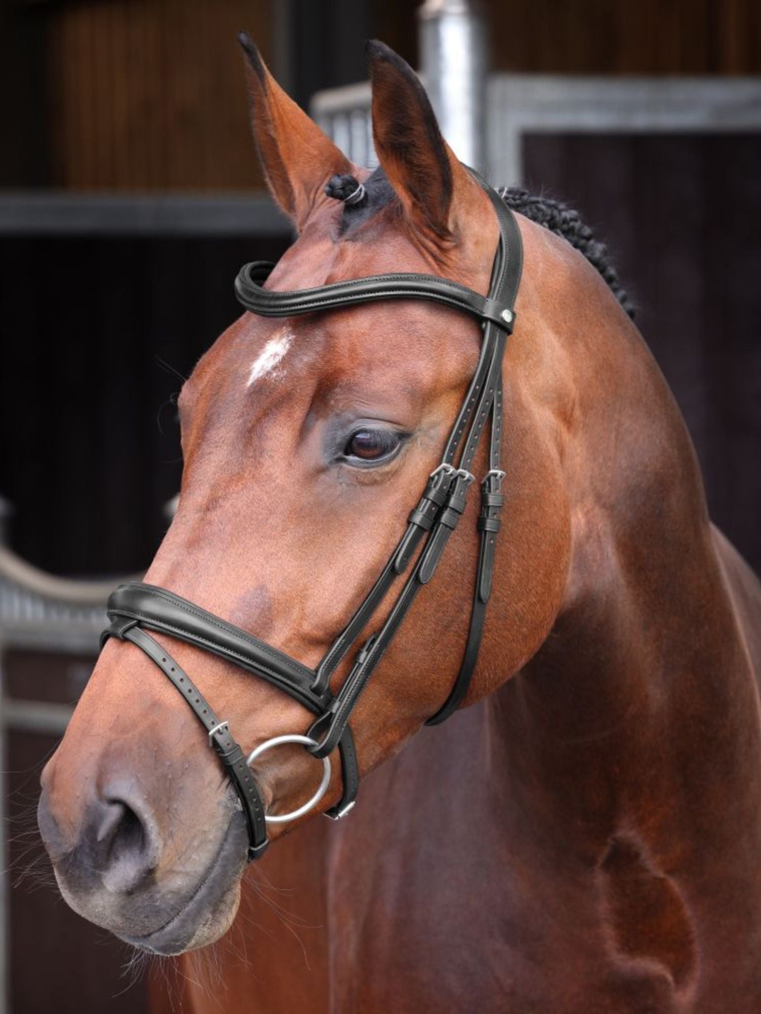 Träns Lusso Elite Svart