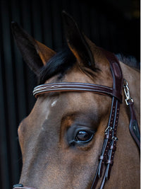 Träns "Rounded Noseband" Brun