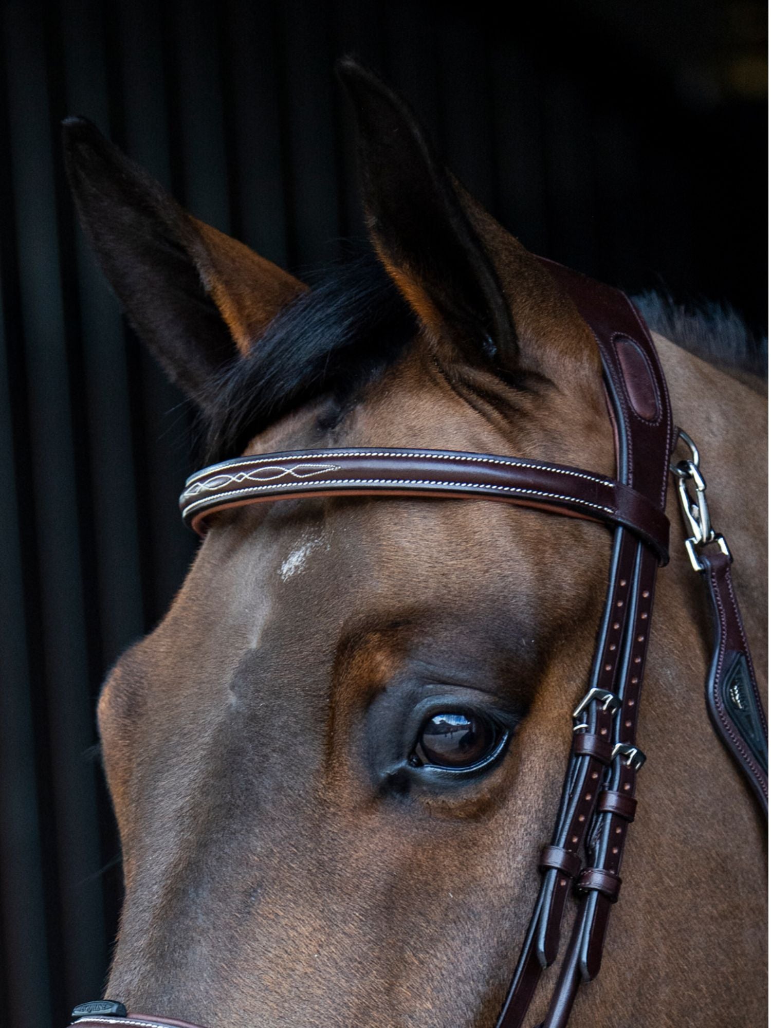 Träns "Rounded Noseband" Brun