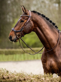 Träns Glitter FaySport Brun