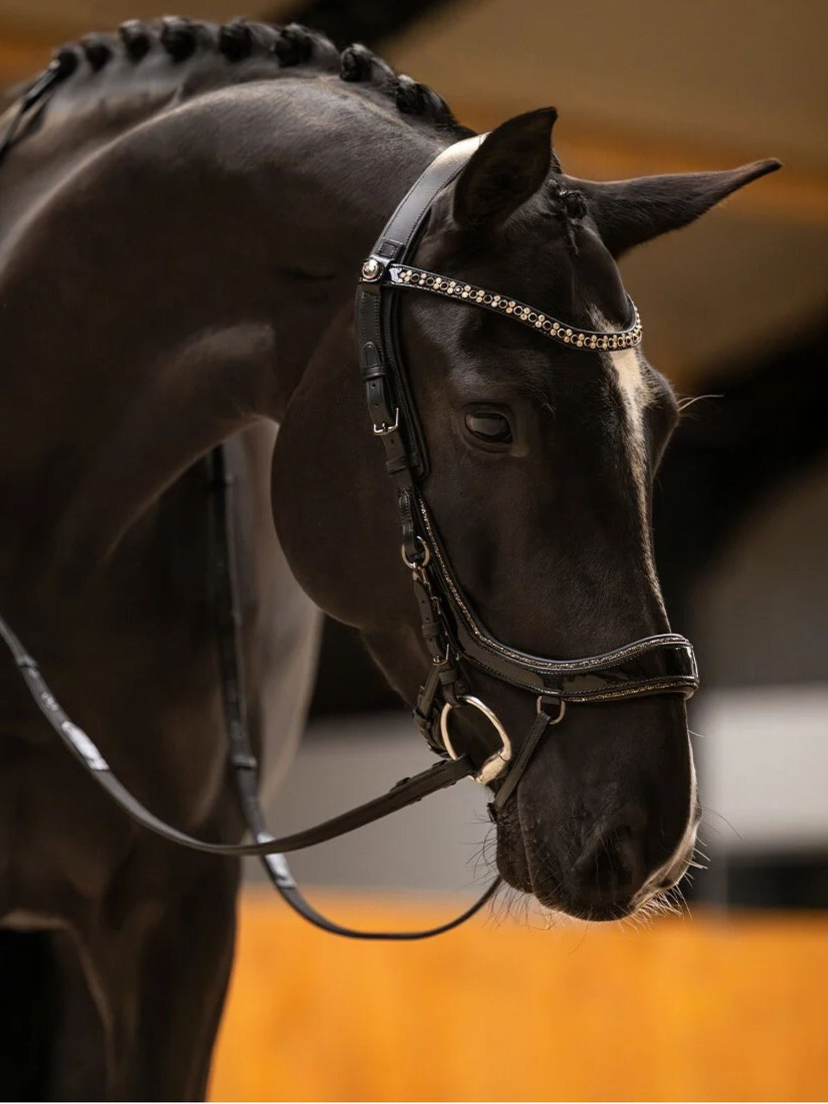 Träns Glitter FaySport Svart