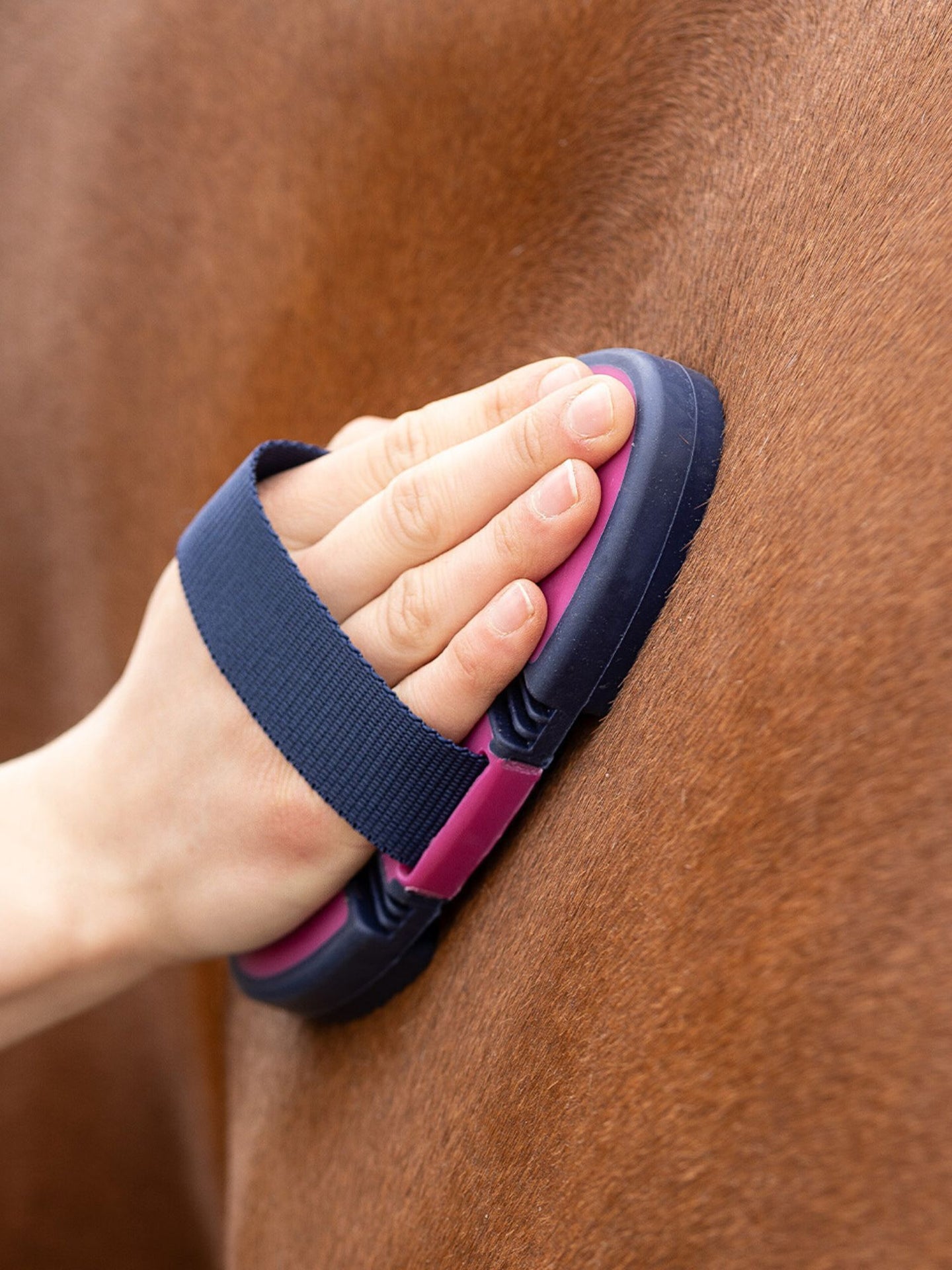 Curry Comb Flexible Fuchsia/Navy