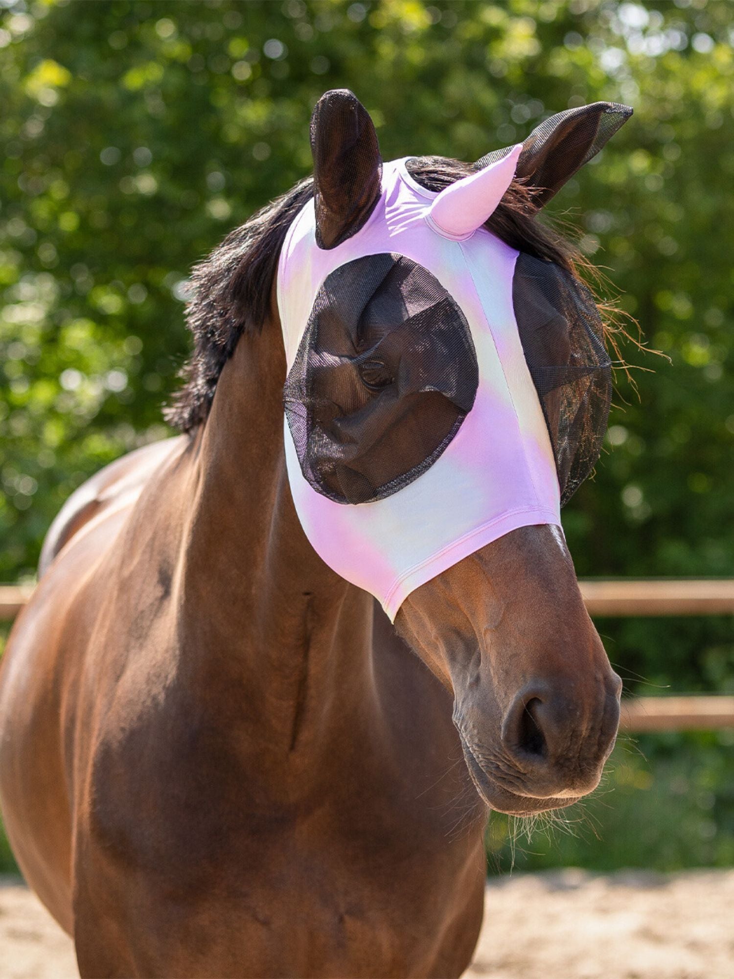 Flughuva Unicorn Multi