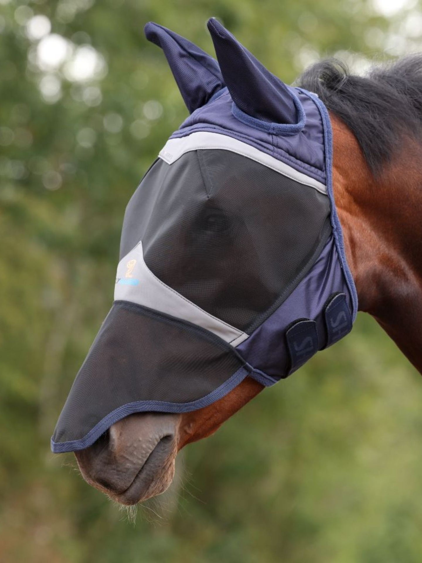 Flughuva Med Öron & Nos Navy