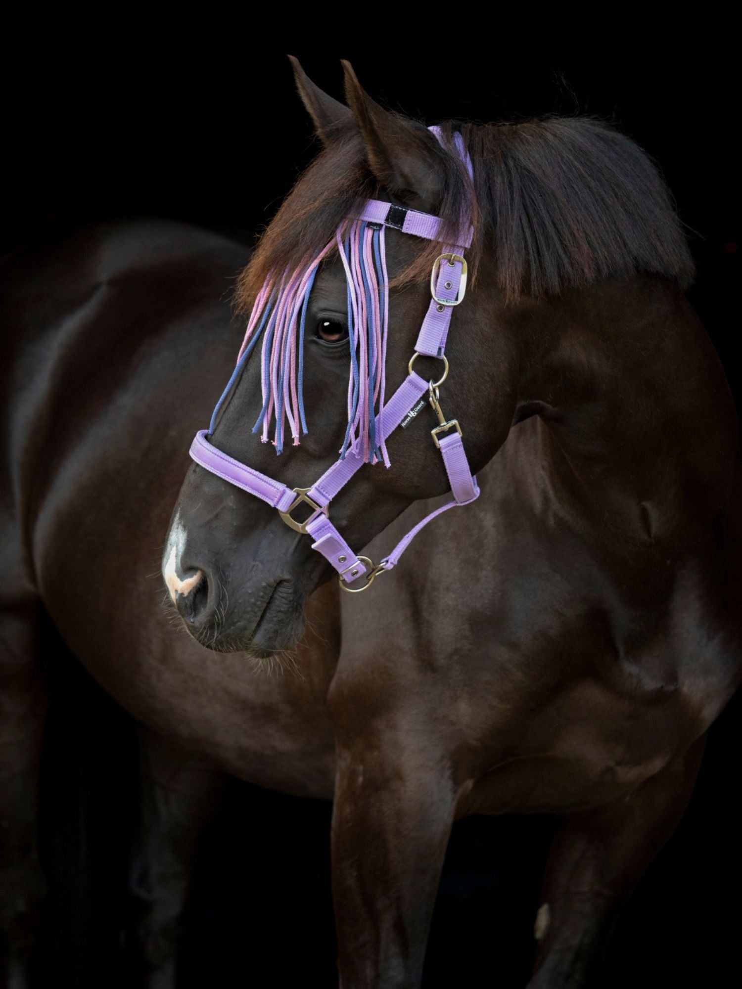 Flugpannband Malva Lavender