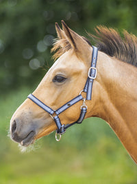 Fölgrimma Misty Blue