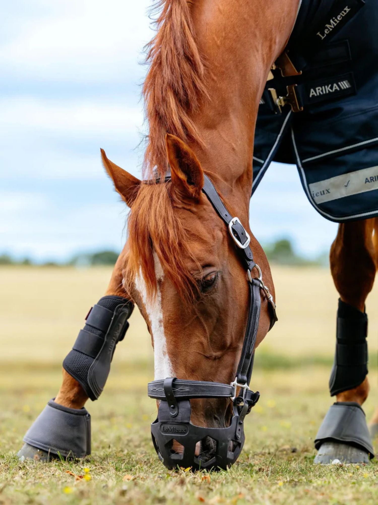 Gräsreducerare Noma Svart