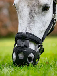 Gräsreducerare Noma Svart