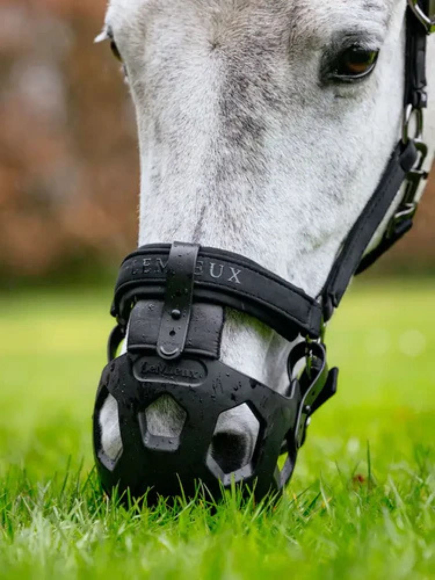 Gräsreducerare Noma Svart