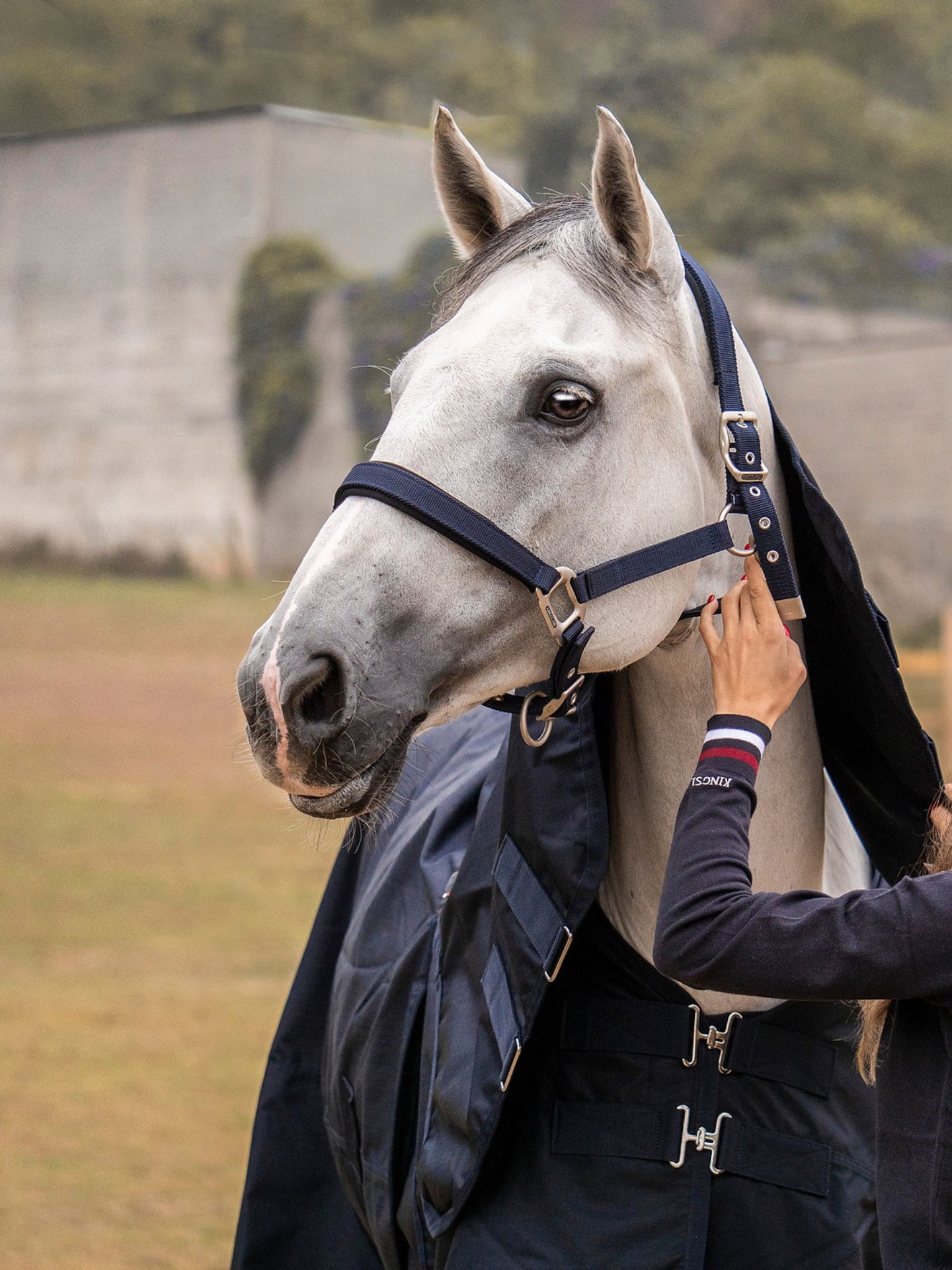Classic Grimma Med Grimskaft Navy