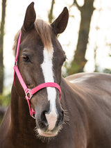 Grimma Nylon Fuchsia