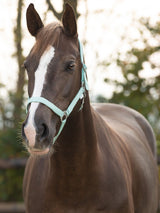 Grimma Nylon Mintgrön