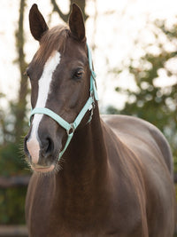 Grimma Nylon Mintgrön