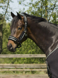 Grimma & Grimskaft Dolci Black/Silver