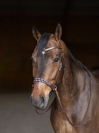 Bettlöst Träns Freedom Brun