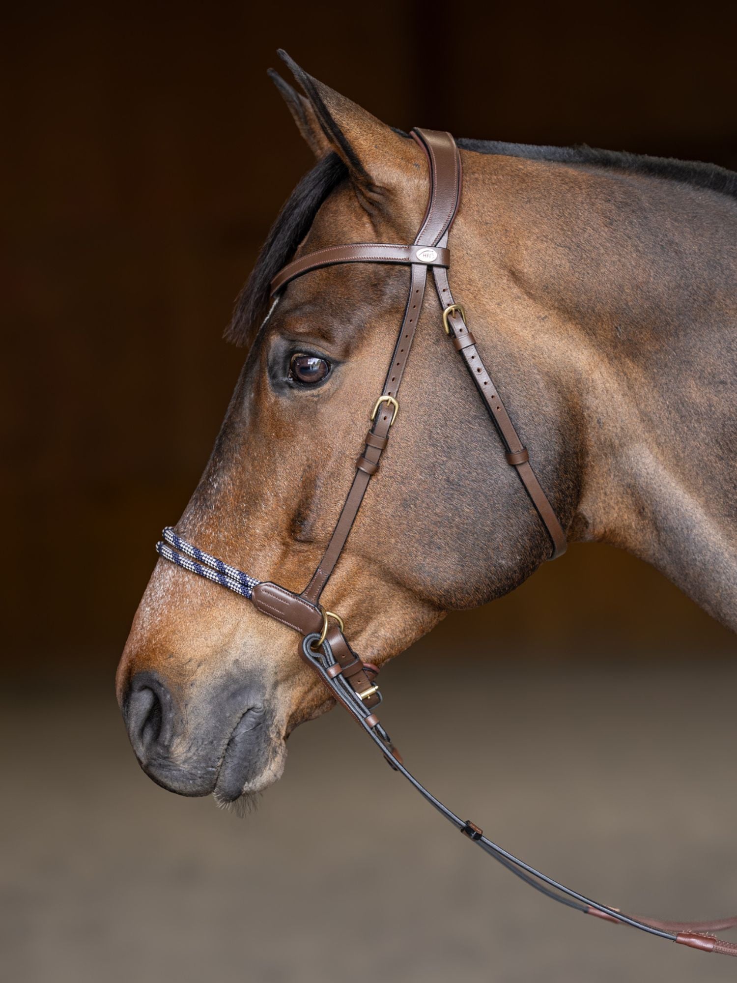 Bettlöst Träns Freedom Brun