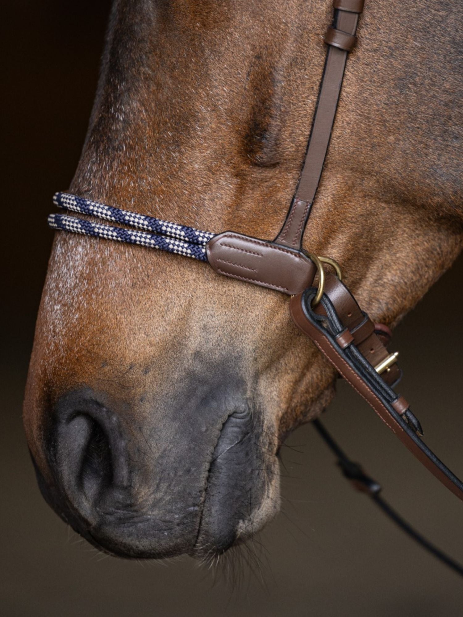 Bettlöst Träns Freedom Brun