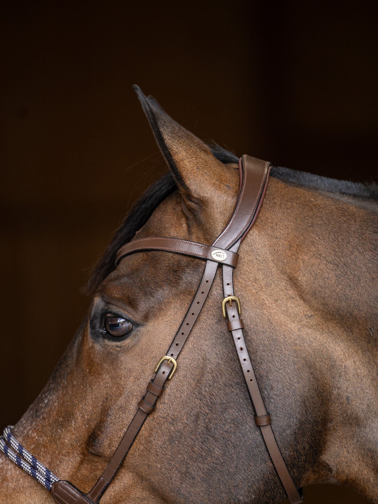 Bettlöst Träns Freedom Brun