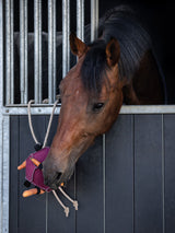 Hästleksak Boll Rosa