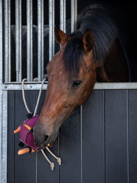 Hästleksak Boll Rosa
