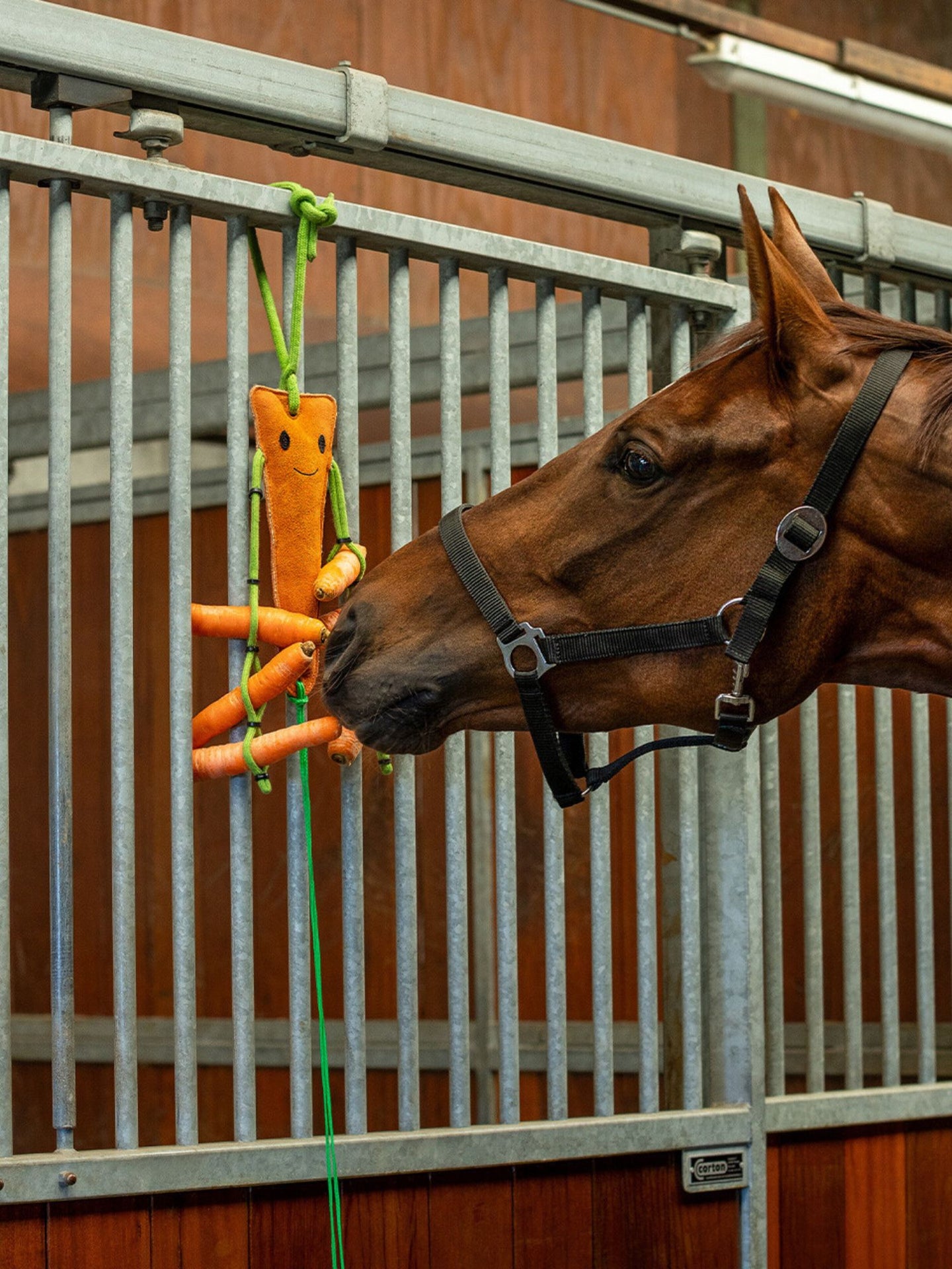 Hästleksak Morot Med Hönät Orange