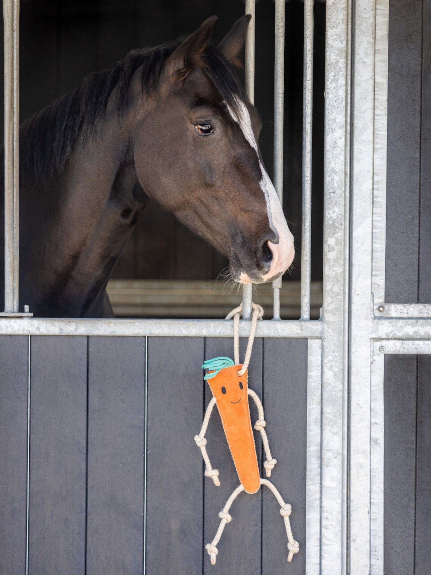 Hästleksak Morot Orange