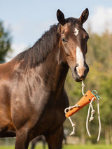 Hästleksak Morot Orange