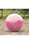 Fotboll Hästleksak Rosa