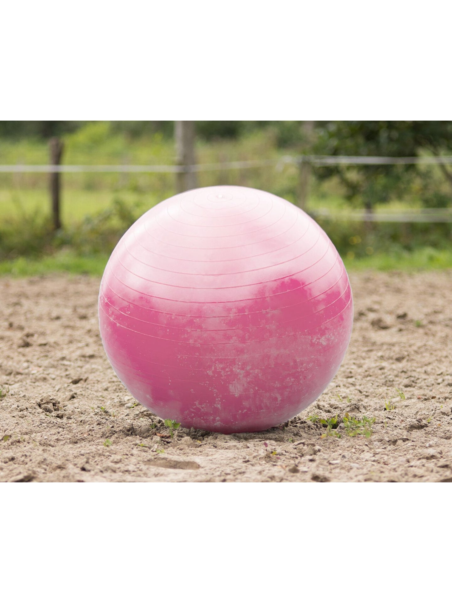 Fotboll Hästleksak Rosa