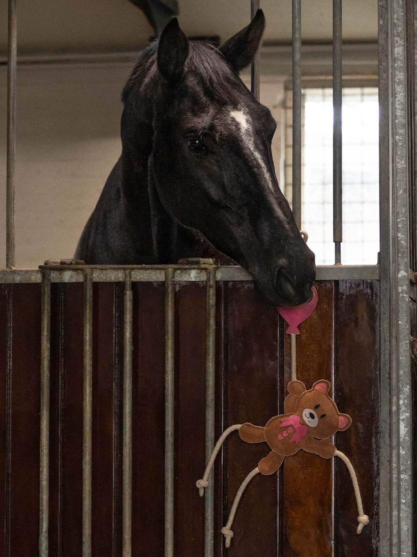Hästleksak Valentine Nalle Rosa