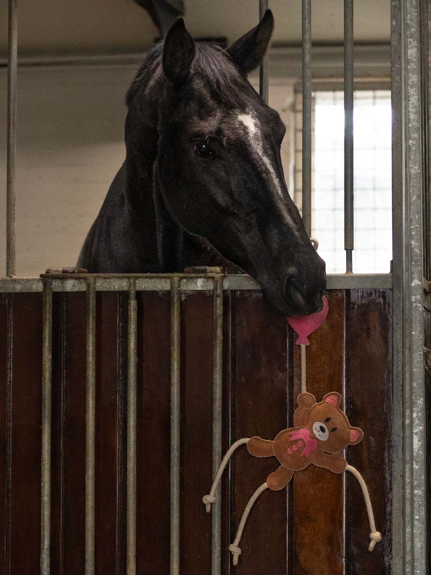Hästleksak Valentine Nalle Rosa