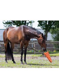 Hästleksak XL Morot Orange