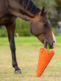 Hästleksak XL Morot Orange